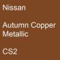 Preview: Nissan, Autumn Copper Metallic, CS2.